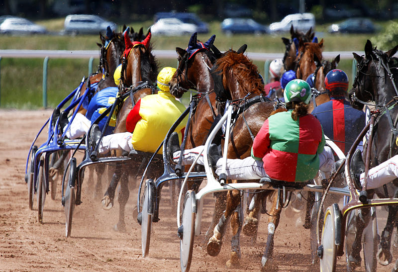 You are currently viewing Hamiral Nelson – Harkonnen, un joli couplé pour l’Ecurie Champié