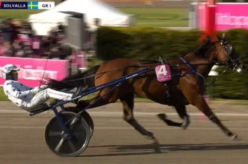 GO ON BOY survole le final de l’Elitloppet