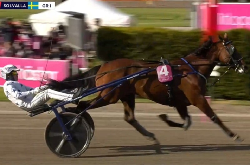 You are currently viewing GO ON BOY survole le final de l’Elitloppet