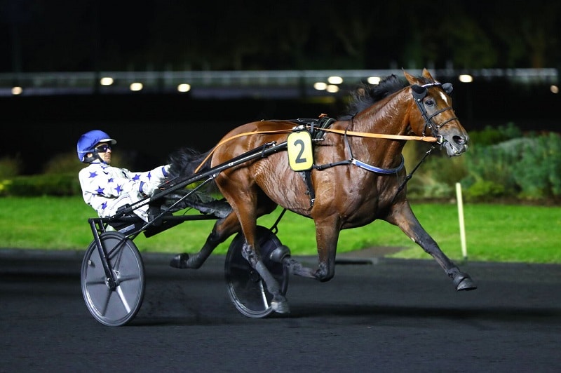 You are currently viewing Go on Boy, un authentique champion