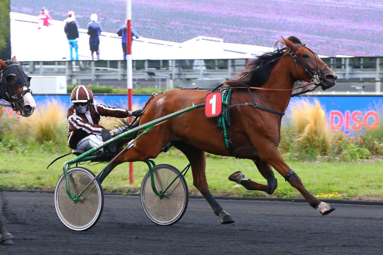 You are currently viewing Un fructueux déplacement pour Gai Printemps