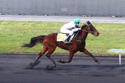 Galactic s&rsquo;offre un quatrième succès parisien
