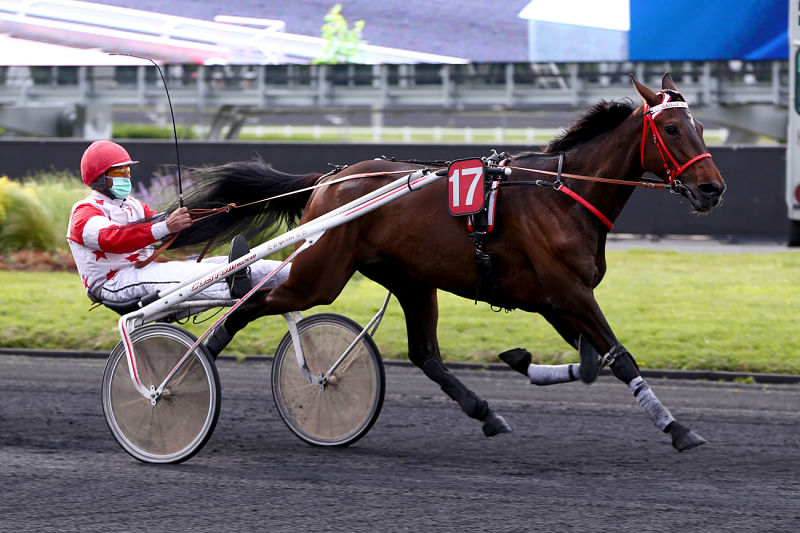 You are currently viewing Gazelle du Bocage et Houston Sissi brillent à Divonne