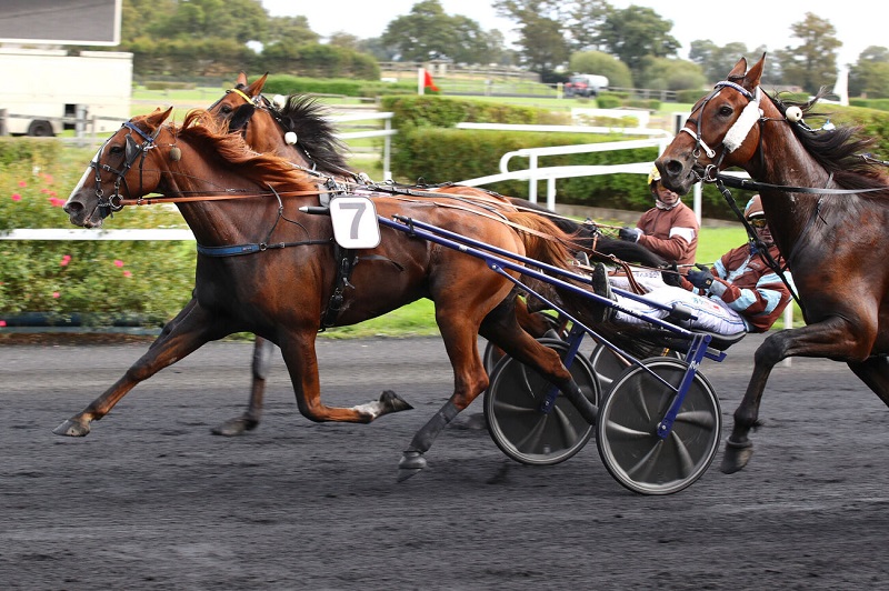 You are currently viewing GENDRÉEN (2016)