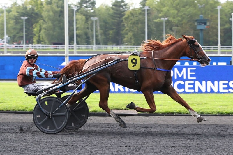 You are currently viewing Gendréen – Happy Danica – Jango Vici : un très joli coup de trois parisien
