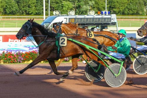 Espoir des Champs et Gétéhi du Noyer à l&rsquo;honneur
