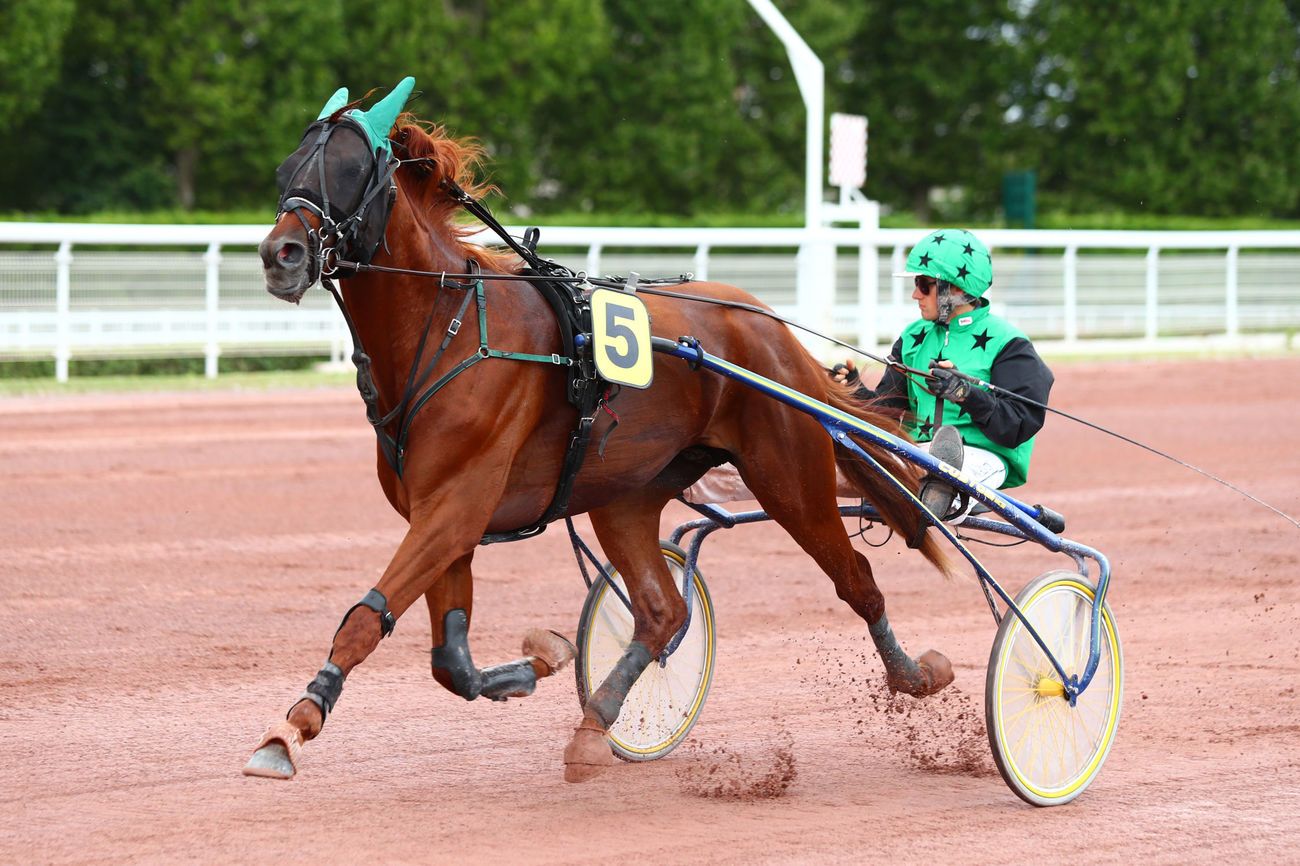 You are currently viewing GÉNÉRAL DU PARC (2016)