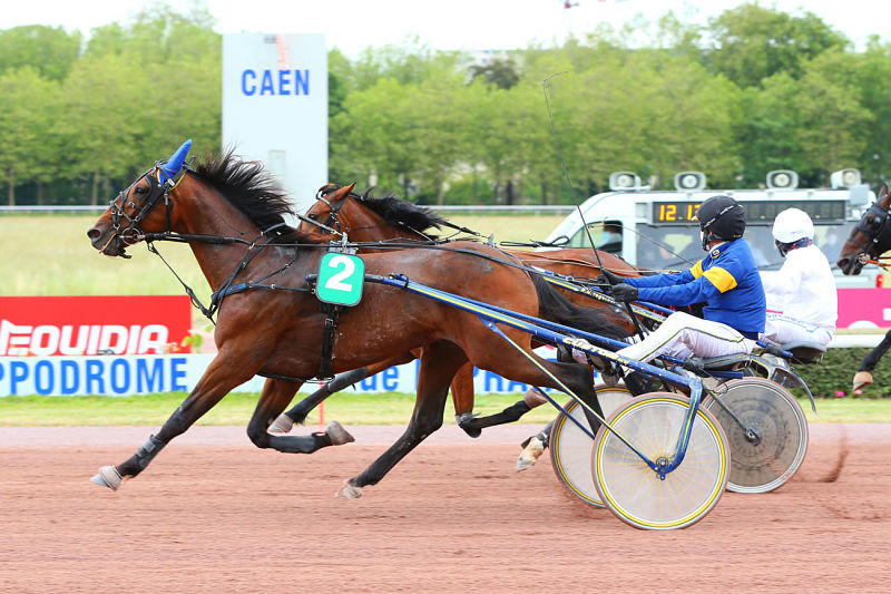 You are currently viewing Ginai des Épines marque encore les esprits