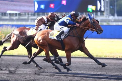 Ginai des Epines confirme ses belles dispositions