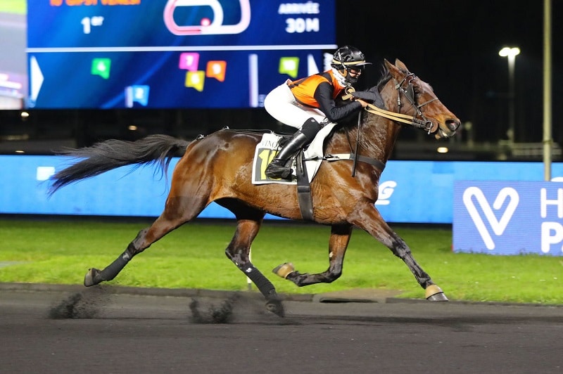 You are currently viewing Une onzième victoire sous la selle pour Gipsy Venesi !