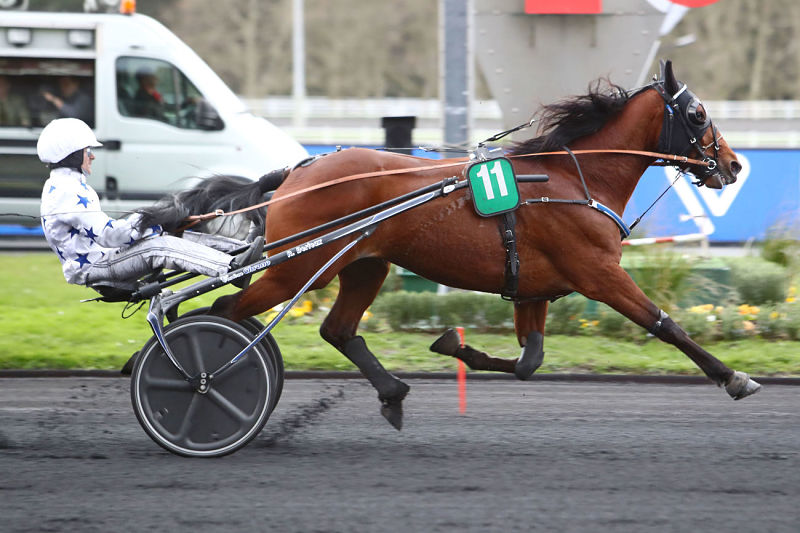 You are currently viewing Allez Go On Boy !