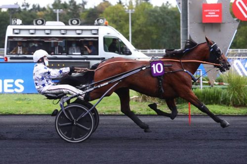 Go on Boy : un « triple Speedy Crown » associé au sang de Muragla