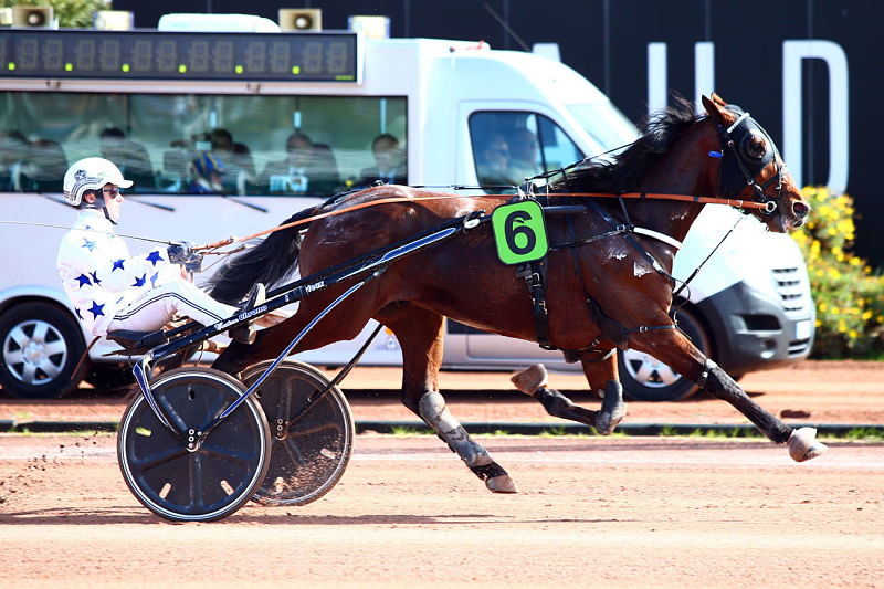 You are currently viewing Go On Boy, roi de Cagnes