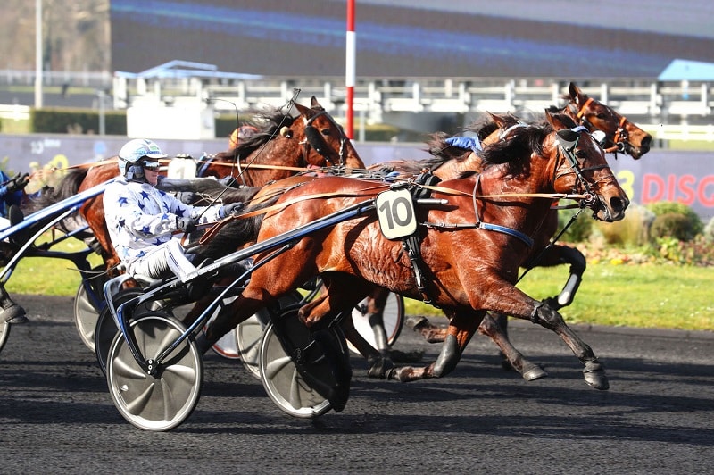 You are currently viewing Go on Boy sur la plus haute marche du podium