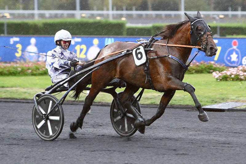 You are currently viewing Go on Boy et Hytte du Terroir sur le podium au niveau Groupe I