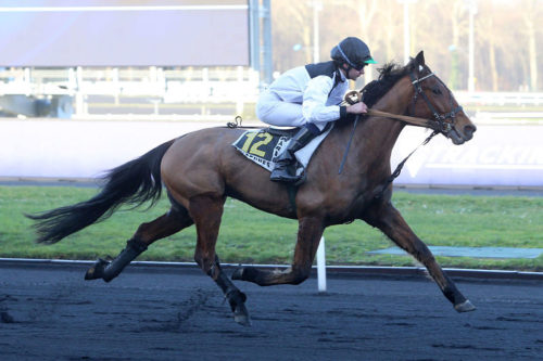 Retour gagnant pour Goliath de la Cour