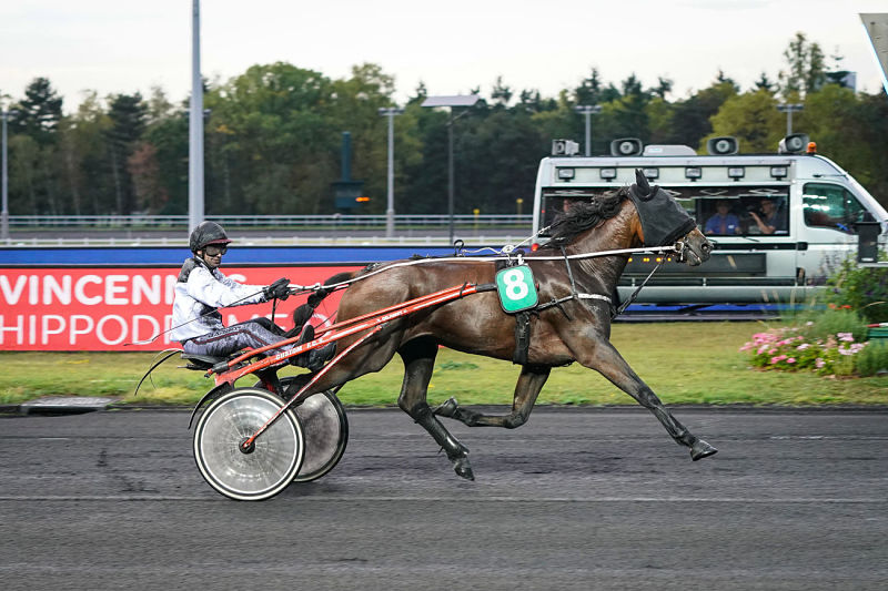 You are currently viewing Goliath de la Cour brille à Vincennes