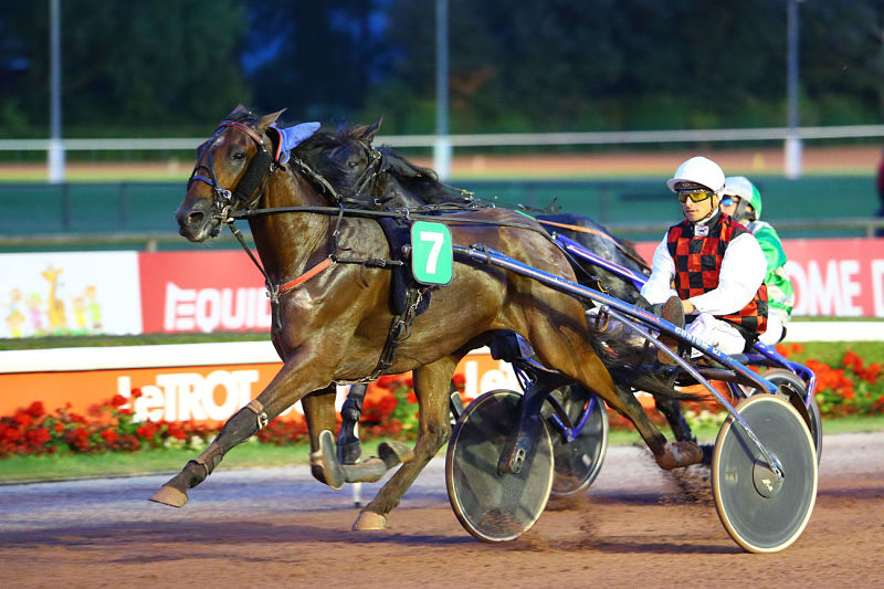 You are currently viewing Good de Tillard brille à Cabourg
