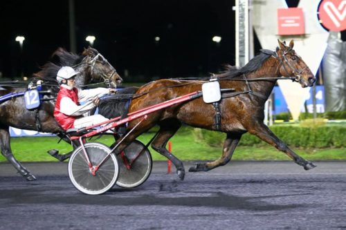 Gréco d&rsquo;Occagnes triple la mise à Vincennes