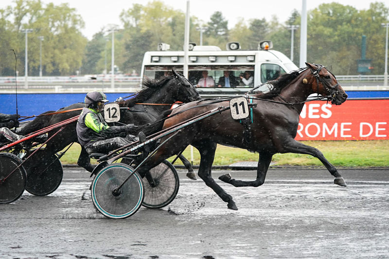 You are currently viewing Groom Dancer brille à Vincennes