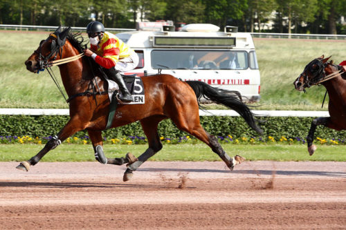 GUIDE MOI FORGAN (2016)