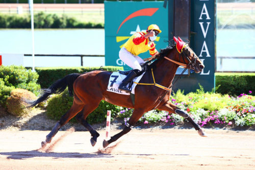 Guide Moi Forgan, en route vers le « Président »