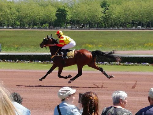 Suivez le « GUIDE »