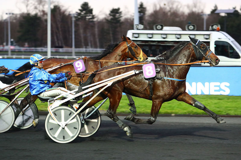 You are currently viewing Gun Sissi élu meilleur 4 ans du Sud-Est