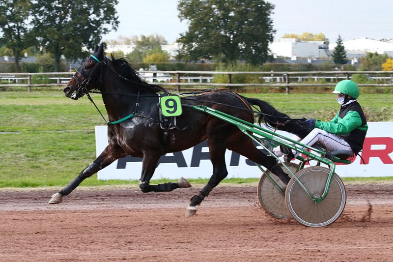 You are currently viewing Gump du Poncelet et Hasur Dairpet, deux beaux vainqueurs Premium