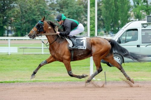 Heartbreaker Well et Hysope du Bocage brillent au niveau Premium