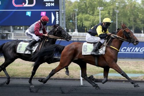 Hytte du Terroir : un apport majeur de « gènes monté »