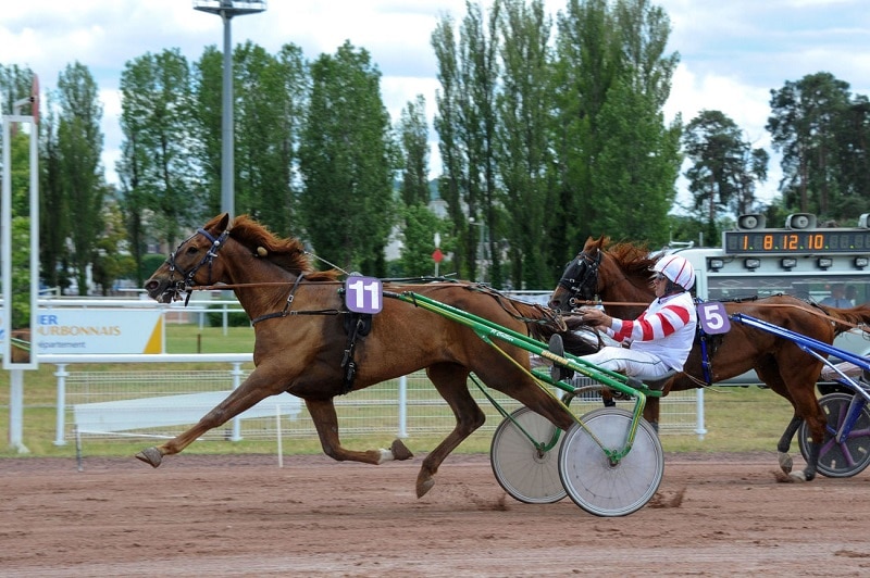 You are currently viewing Hakim des Champs et Hulk de Tillard scorent au niveau Premium