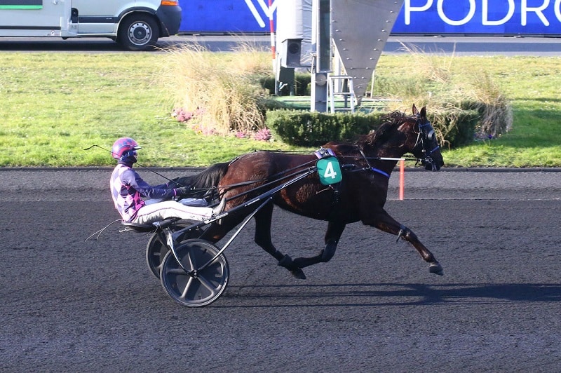 You are currently viewing Et de 10 pour Happy Danica !