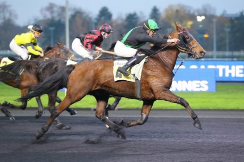 Une première à Vincennes pour Heartbreaker Well