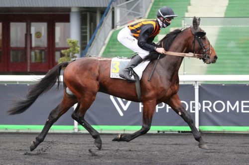 Belle valeur de Hector des Champs dans le Prix Raoul Ballière