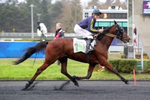 Lire la suite à propos de l’article HEURISTIQUE offre la plus belle victoire à son naisseur après 50 ans d’élevage