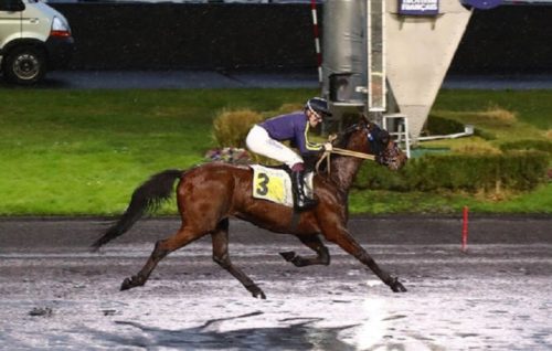 Heuristisque se plaît sous la selle