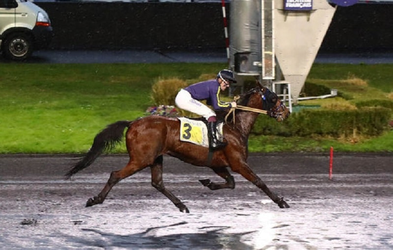 You are currently viewing Heuristique double la mise