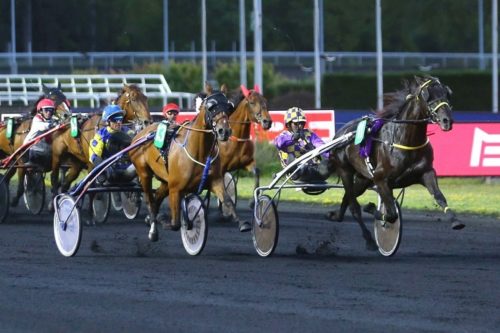 Hinden, la belle aventure continue