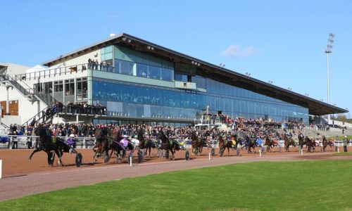 Iguane de Caponet enchaîne à Mauquenchy