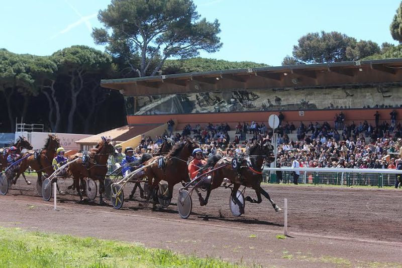 You are currently viewing Et de 8 pour Diva de Godrel !