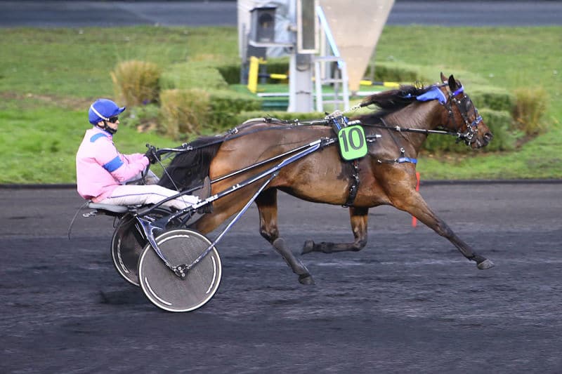 You are currently viewing Record de gagnants en 2021 : 525