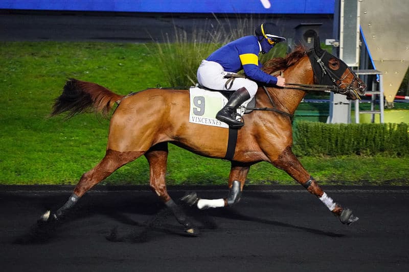 You are currently viewing Hushabye s’affirme sous la selle