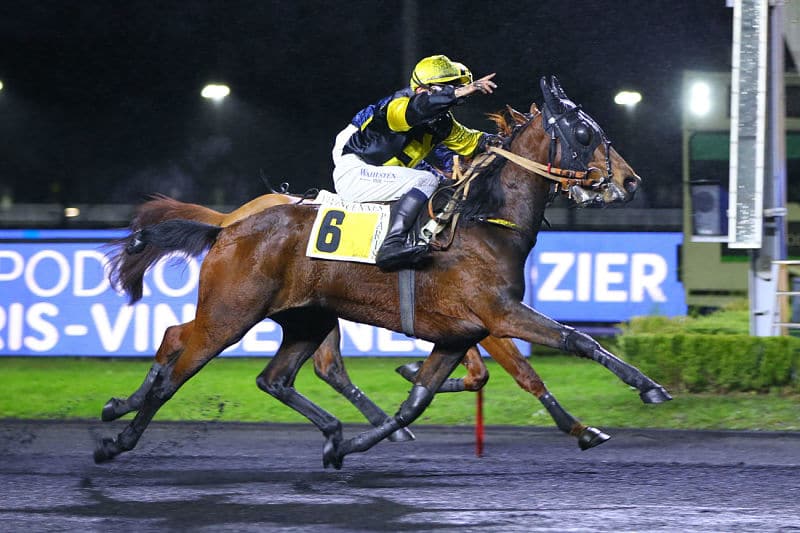 You are currently viewing Et de 3 au niveau Groupe II pour Hytte du Terroir