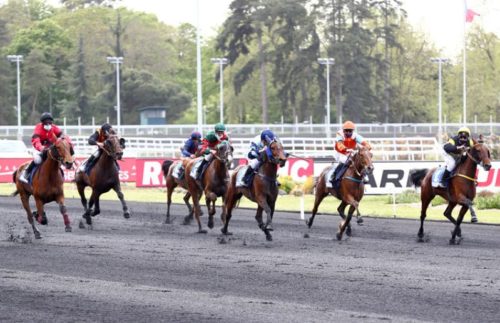 Hytte du Terroir et Hollywood Night sur le podium du Prix René Palyart (Groupe II)