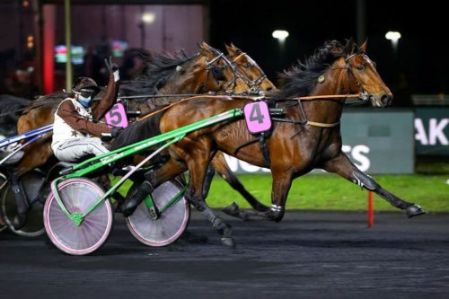 Un séduisant I Pay Cash – Un brillant Idao de Tillard