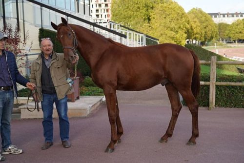 5 « I » qualifiés sur la séance caennaise
