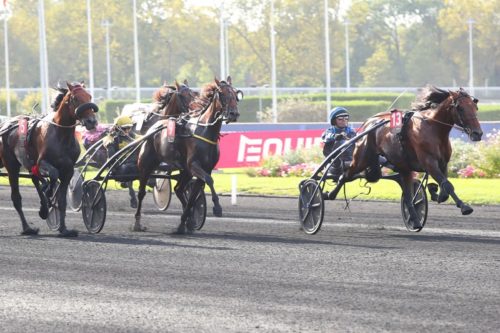 Critérium des 5 Ans : contrat rempli pour IDAO DE TILLARD
