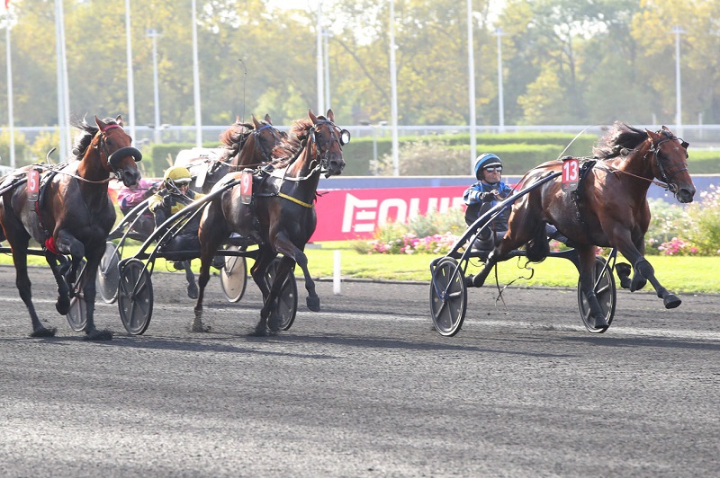 You are currently viewing Critérium des 5 Ans : contrat rempli pour IDAO DE TILLARD