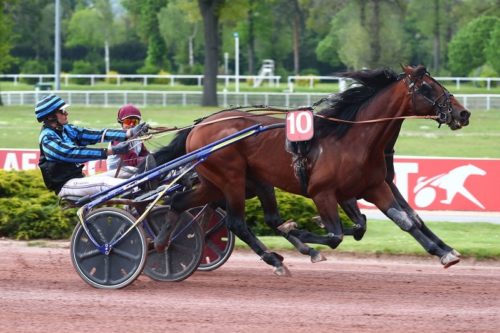 Le champion Idao de Tillard à la hauteur pour sa rentrée – Invictus Madiba excellent 3ème